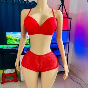 Comfortable Foam Net Bra & Panty Set - (Red solid )