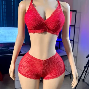 Comfortable Foam Net Bra & Panty Set - (Red Les )