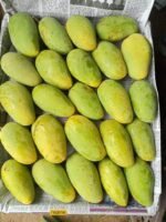 কাটিমন | ৫ কেজি - Image 3