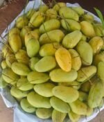 কাটিমন | ৫ কেজি - Image 4