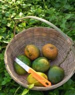 হিমসাগর | ১০  কেজি - Image 2