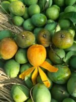 হিমসাগর | ২৪  কেজি - Image 3