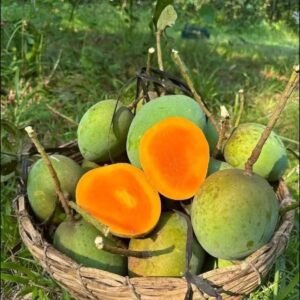 হিমসাগর