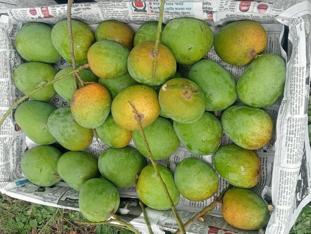হিমসাগর