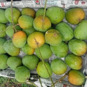 হিমসাগর