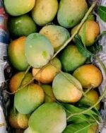 হিমসাগর