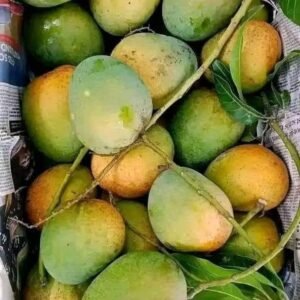 হিমসাগর